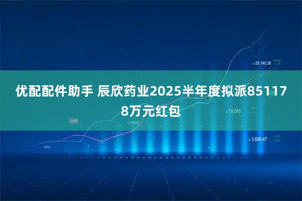 优配配件助手 辰欣药业2025半年度拟派851178万元红包
